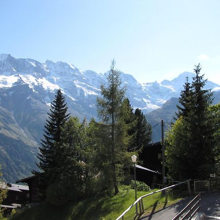 Chalet Schoenbuehl Mürren Exterior foto